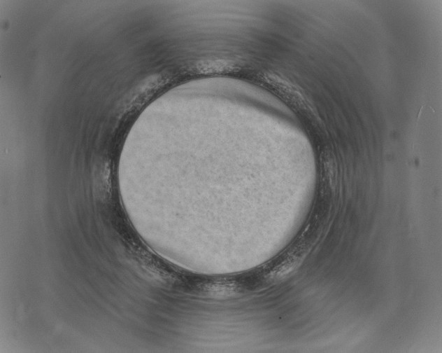 X0000071800308200607211653