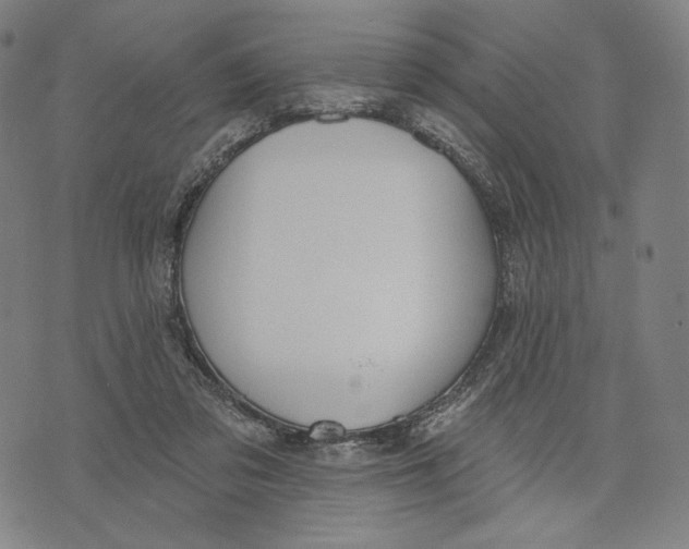 X0000071800309200607211653