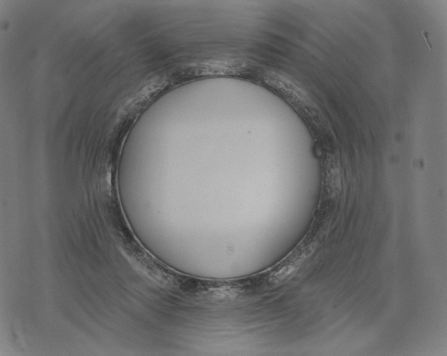 X0000071800310200607211653