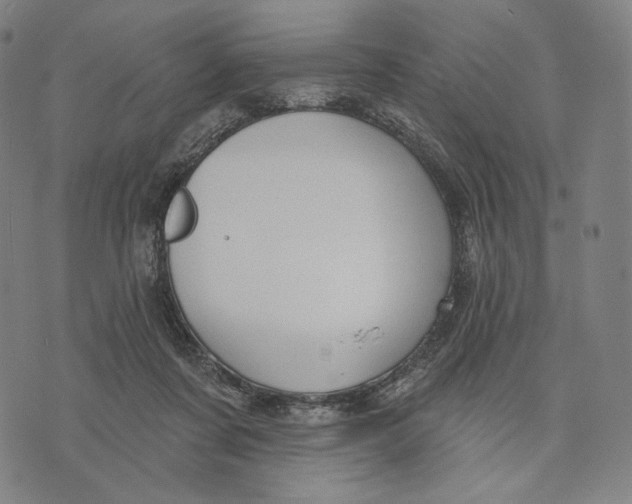 X0000071800311200607211653