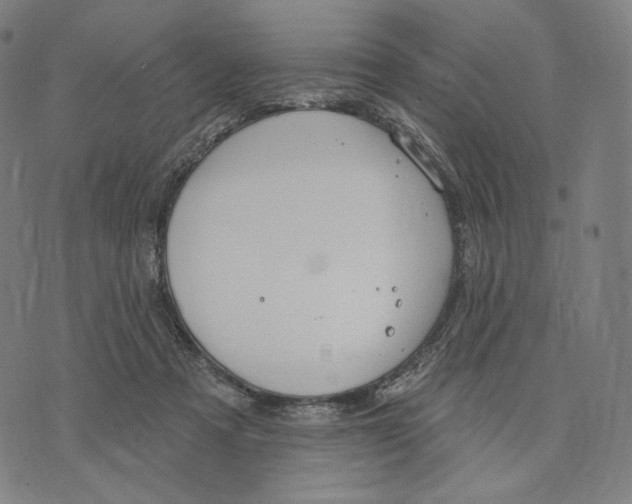 X0000071800313200607211653