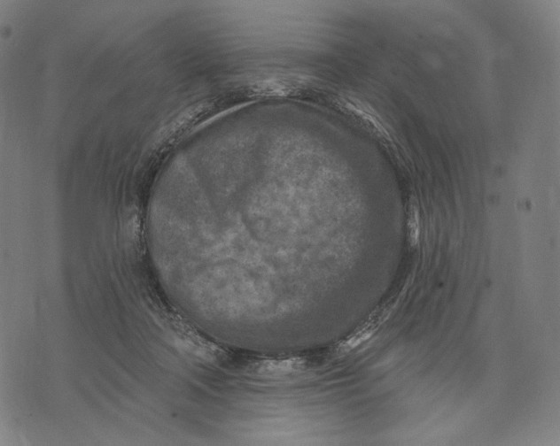 X0000071800314200607211653