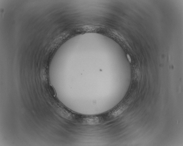 X0000071800317200607211653