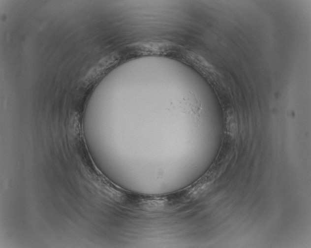 X0000071800318200607211653