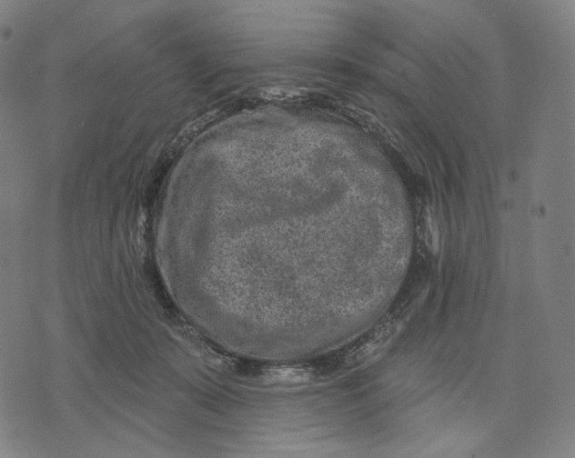 X0000071800319200607211653