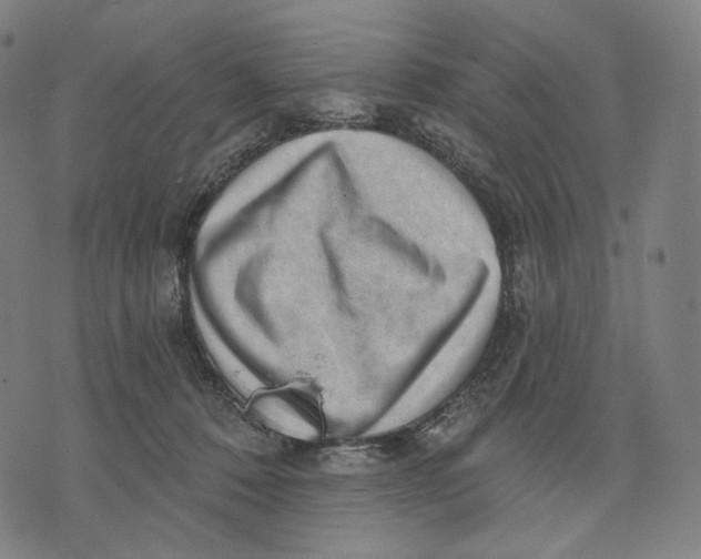 X0000071800320200607211653