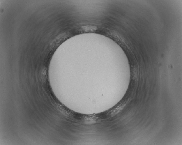 X0000071800321200607211653