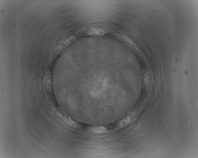 X0000071800322200607211653