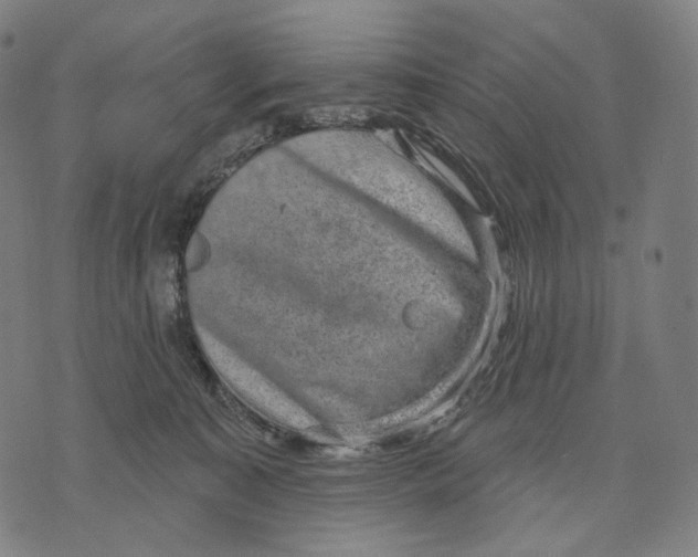 X0000071800323200607211653