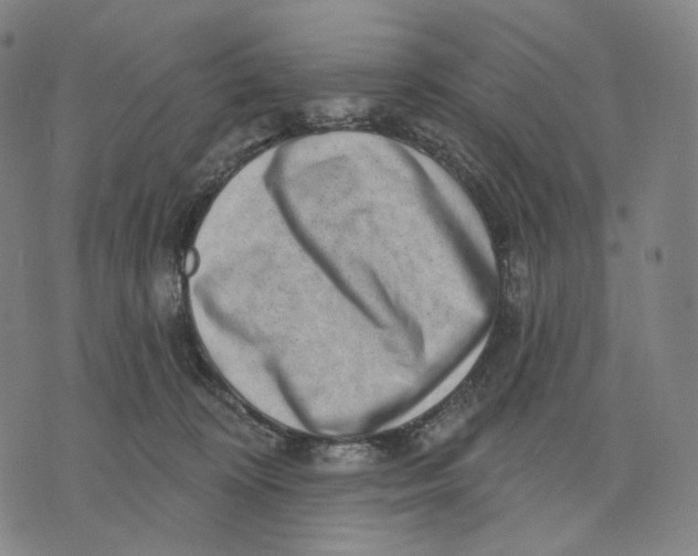 X0000071800324200607211653