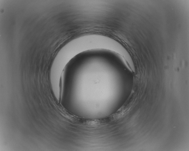 X0000071800325200607211653