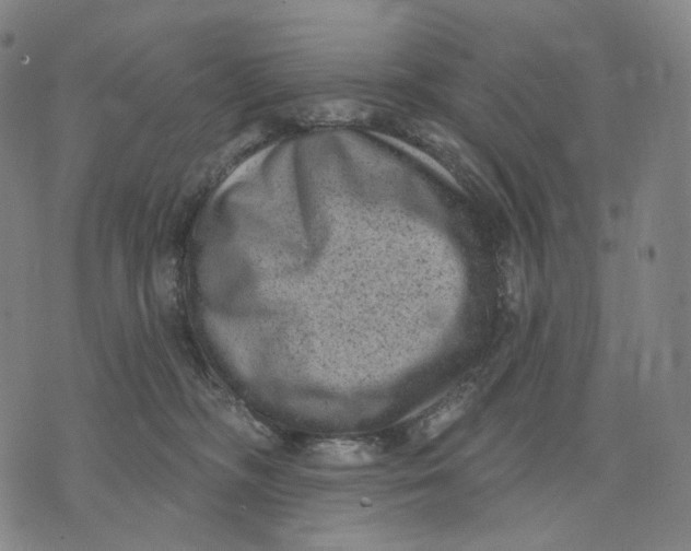 X0000071800326200607211653