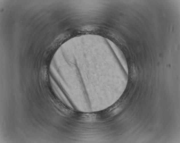 X0000071800328200607211653