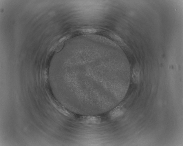 X0000071800330200607211653