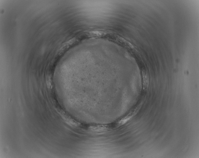 X0000071800331200607211653