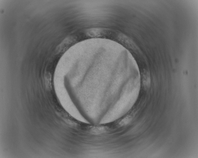 X0000071800332200607211653