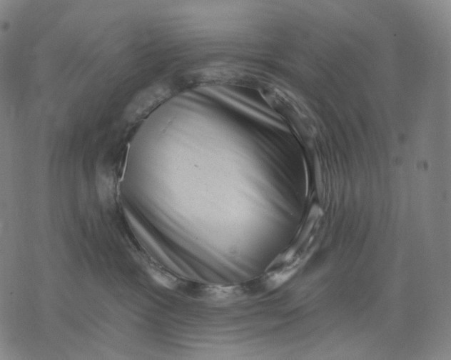 X0000071800333200607211653