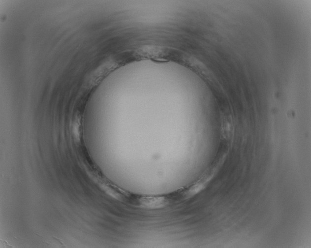 X0000071800334200607211653