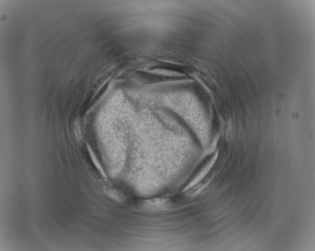 X0000071800335200607211653