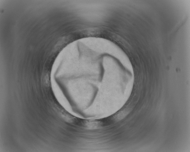 X0000071800336200607211653