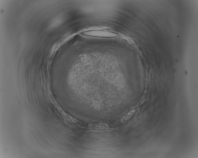 X0000071800337200607211652