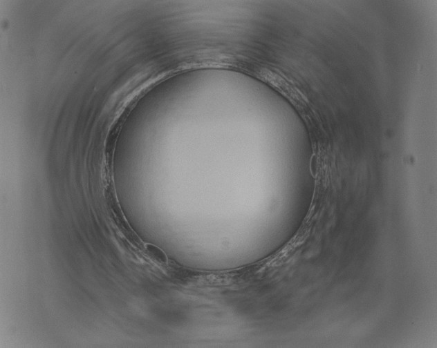 X0000071800338200607211652