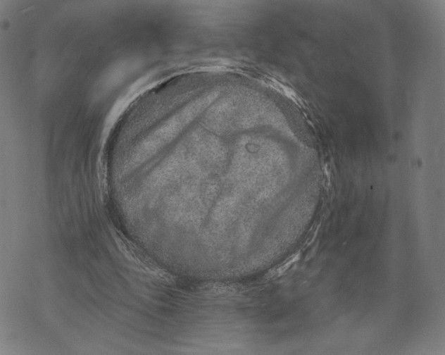 X0000071800343200607211652