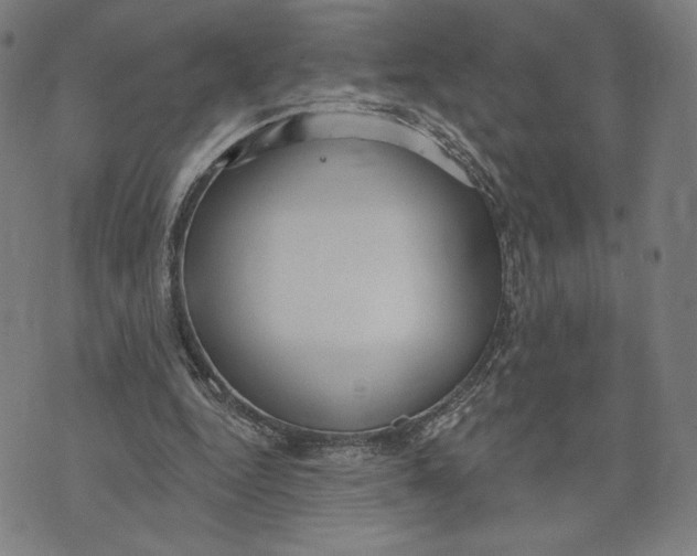 X0000071800344200607211652