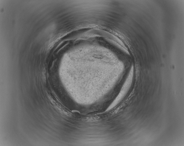 X0000071800345200607211652