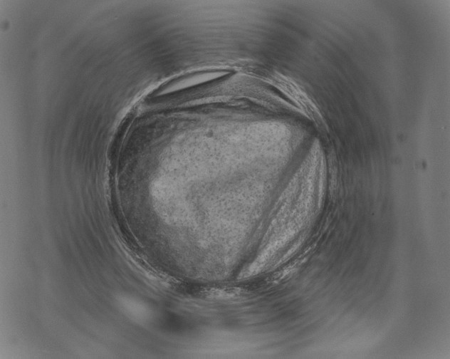 X0000071800346200607211652