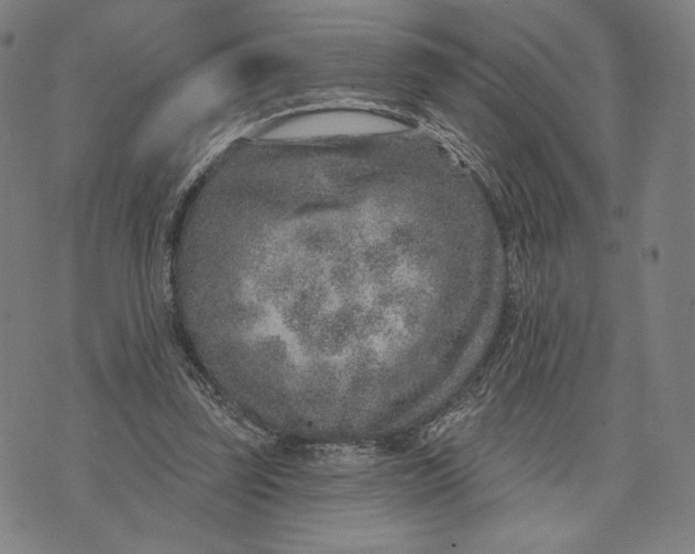 X0000071800347200607211652