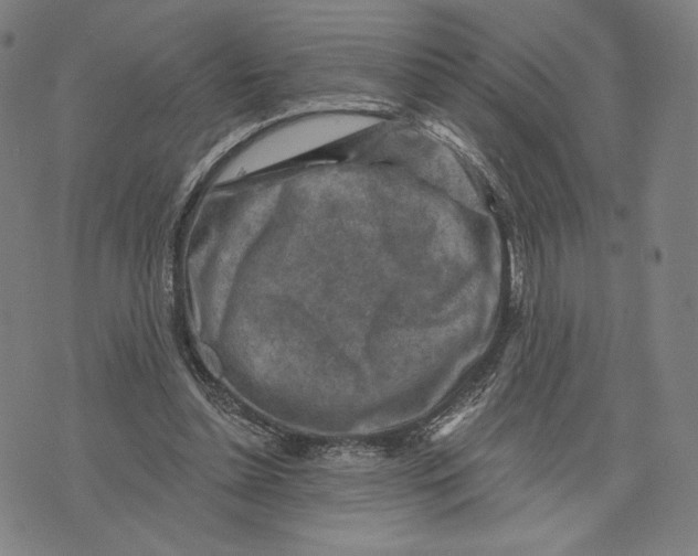 X0000071800348200607211652