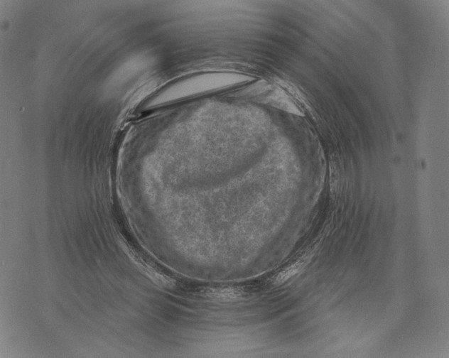 X0000071800349200607211652