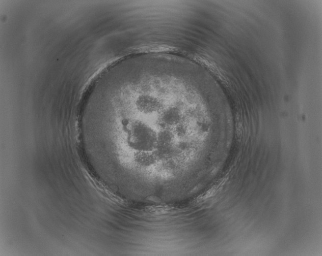 X0000071800351200607211652