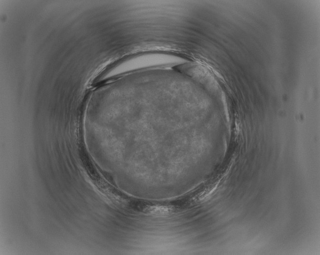 X0000071800352200607211652