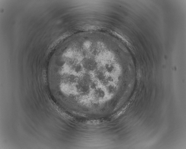 X0000071800353200607211652