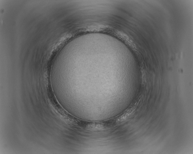 X0000071800354200607211652