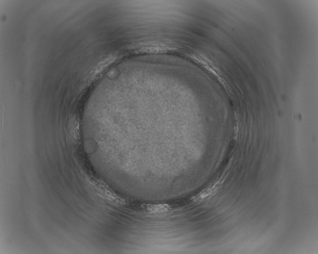 X0000071800355200607211652