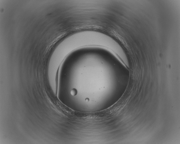 X0000071800356200607211652