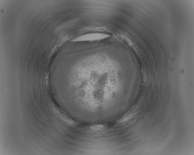 X0000071800357200607211652