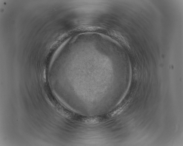 X0000071800358200607211652