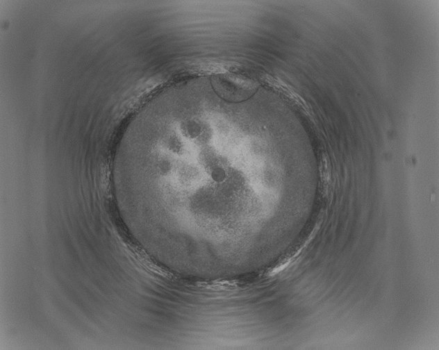 X0000071800359200607211652