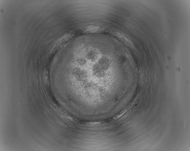 X0000071800361200607211653