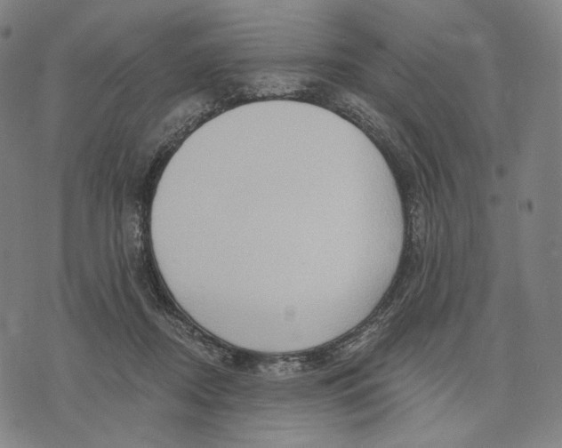 X0000071800362200607211653