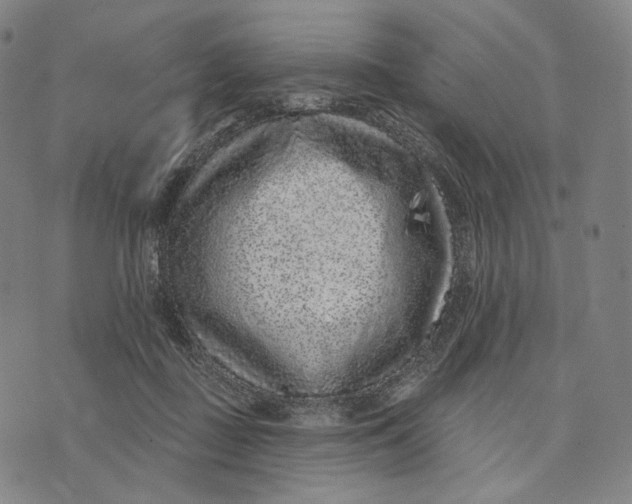 X0000071800363200607211653