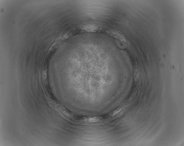 X0000071800365200607211653