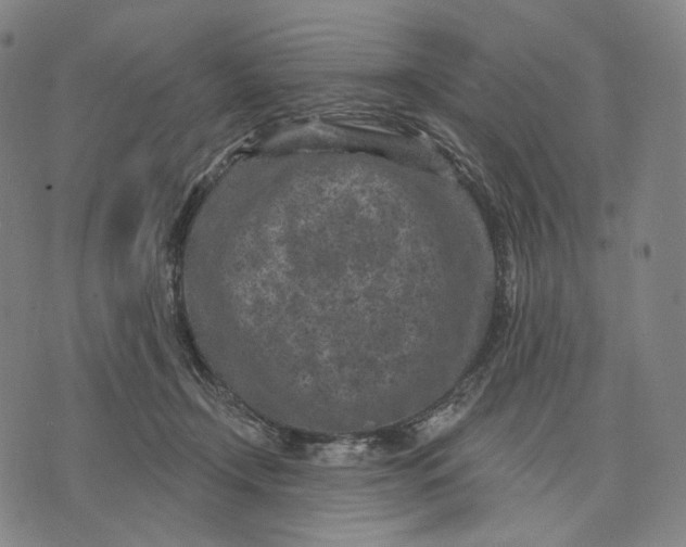 X0000071800366200607211653