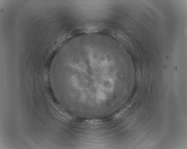 X0000071800367200607211653