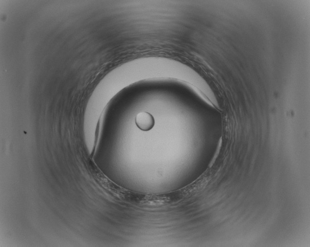 X0000071800368200607211653