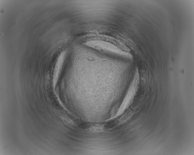 X0000071800369200607211653